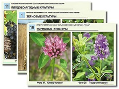 Гербарий фотографический "Сельскохозяйственные растения России" - fgospostavki.ru - Радужный