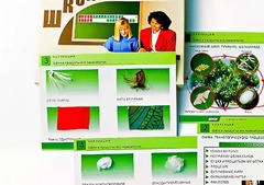Коллекция "Шелк и продукты его переработки" (средняя школа) - fgospostavki.ru - Радужный