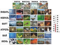 Фенологические наблюдения - fgospostavki.ru - Радужный
