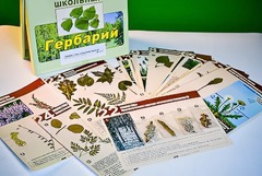 Гербарий к курсу основ общей биологии - fgospostavki.ru - Радужный