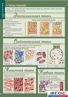 Комплект таблиц. Биология 8-9 класс. Человек. - fgospostavki.ru - Радужный