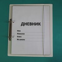 Дневник школьника (с полным набором карточек) - fgospostavki.ru - Радужный