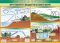 Таблица "Круговорот веществ в биосфере" (100х140 сантиметров, винил) - fgospostavki.ru - Радужный