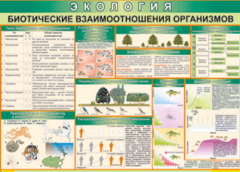Таблица "Биотические взаимоотношения организмов" (100х140 сантиметров, винил) - fgospostavki.ru - Радужный