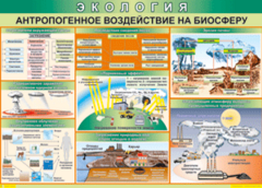 Таблица "Антропогенное воздействие на биосферу" (100х140 сантиметров, винил) - fgospostavki.ru - Радужный