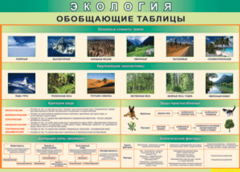 Таблица "Экология. Обобщающие таблицы" (100х140 сантиметров, винил) - fgospostavki.ru - Радужный
