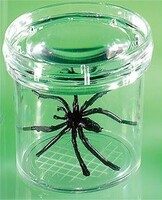 Баночка для изучения насекомых GeoSafari - fgospostavki.ru - Радужный