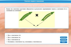 Интерактивные курсы. Биология 11 класс. Базовый. - fgospostavki.ru - Радужный