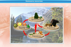 Интерактивные курсы. Биология 7 класс. Базовый. - fgospostavki.ru - Радужный