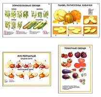 Плакаты ПРОФТЕХ "Ассортимент овощных культур" (12 пл, винил, 70х100) - fgospostavki.ru - Радужный
