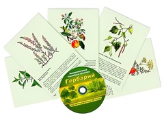 Интерактивный наглядный комплекс "Гербарий "Для начальной школы" - fgospostavki.ru - Радужный