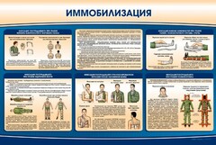 Стенд "Иммобилизация" - fgospostavki.ru - Радужный
