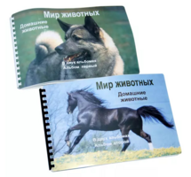 Пособие для слабовидящих - Домашние животные - fgospostavki.ru - Радужный