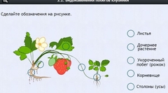 Интерактивные курсы. Биология 7 класс. Расширенный. - fgospostavki.ru - Радужный