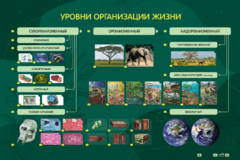 Электрифицированный стенд "Уровни организации жизни" - fgospostavki.ru - Радужный