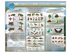 Стенд "Как выжить в суровых условиях" - fgospostavki.ru - Радужный