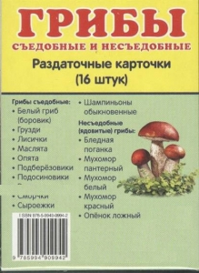 Раздаточные карточки "Грибы съедобные и не съедобные" - fgospostavki.ru - Радужный