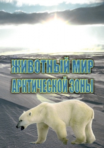 DVD "Животный мир Арктической зоны" - fgospostavki.ru - Радужный
