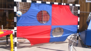 Экран для отработки ударов мячом - fgospostavki.ru - Радужный