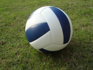 Мяч волейбольный звенящий - fgospostavki.ru - Радужный