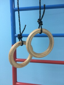 Кольца навесные для детского спортивного комплекса (диаметр 16 сантиметров, фанера) - fgospostavki.ru - Радужный