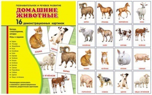 Демонстрационные карточки "Домашние животные" - fgospostavki.ru - Радужный