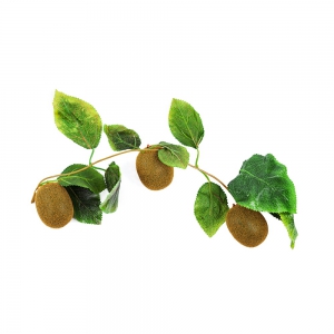 Ветка муляжей "Киви" - fgospostavki.ru - Радужный