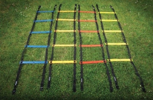 Комплект лестниц для тренировок - fgospostavki.ru - Радужный