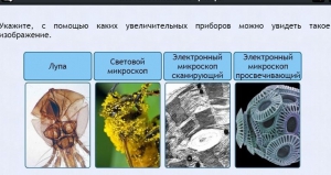 Интерактивные курсы. Биология 5 класс. Расширенный - fgospostavki.ru - Радужный