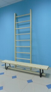 Стенка гимнастическая шведская премиум (1000х3200 мм) - fgospostavki.ru - Радужный