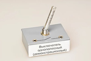 Выключатель однополюсный (демонстрационный) - fgospostavki.ru - Радужный
