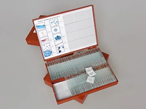 Комплект микропрепаратов "Ботаника 2" - fgospostavki.ru - Радужный