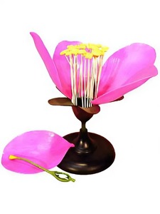 Модель цветка яблони - fgospostavki.ru - Радужный