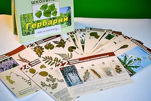 Гербарий к курсу основ общей биологии - fgospostavki.ru - Радужный