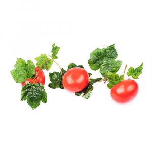 Ветка муляжей "Помидоры" - fgospostavki.ru - Радужный