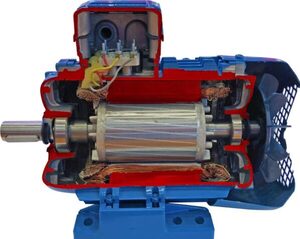 Учебная модель «Электродвигатель асинхронный в разрезе» - fgospostavki.ru - Радужный