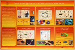 Электрифицированный стенд «Эпизоотология сельскохозяйственных животных» - fgospostavki.ru - Радужный
