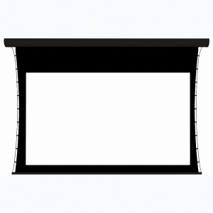 Экран настенный с электроприводом DSTPX-16915 - fgospostavki.ru - Радужный