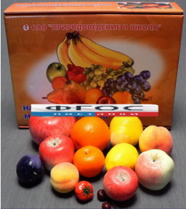 Набор муляжей фруктов (большой из 13 штук) - fgospostavki.ru - Радужный