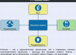 Интерактивные курсы. Биология 5 класс. Базовый - fgospostavki.ru - Радужный