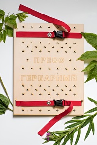 Пресс гербарный (сетка) - fgospostavki.ru - Радужный