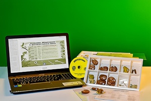 Коллекция натурально-интерактивная "Палеонтологическая" - fgospostavki.ru - Радужный