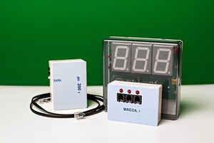 Датчик массы 200 г с независимой индикацией (весы с USB-переходником) - fgospostavki.ru - Радужный