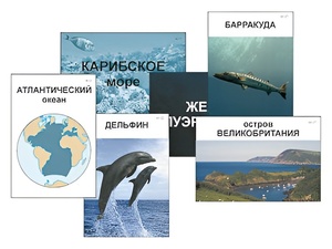 Модель-аппликация "Океаны. Знакомство" (ламинированная) - fgospostavki.ru - Радужный