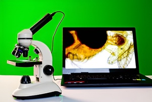 Микроскоп школьный с цифровой камерой - fgospostavki.ru - Радужный