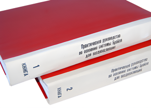 Практическое руководство по освоению системы Брайля для поздноослепших в 2-х книгах - fgospostavki.ru - Радужный