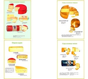 Плакаты ПРОФТЕХ "Ассортимент сыров" (9 пл, винил, 70х100) - fgospostavki.ru - Радужный
