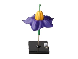 Модель цветка картофеля - fgospostavki.ru - Радужный