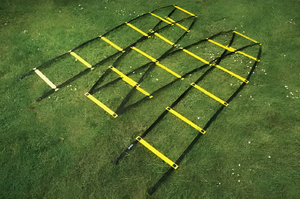 Лестница для тренировок (вариант 1) - fgospostavki.ru - Радужный