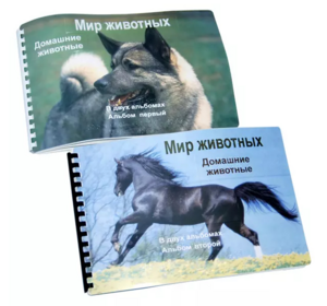 Пособие для слабовидящих - Домашние животные - fgospostavki.ru - Радужный